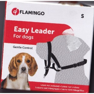 Flamingo easy leader...